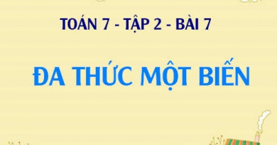 Đa thức một biến là gì? Cách sắp xếp, tính giá trị đa thức một biến và Bài tập - Toán 7 tập 2 bài 7